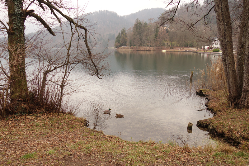 Mon voyage à Bled en Slovénie