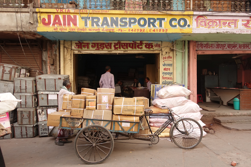 Mon voyage à Jaipur en Inde