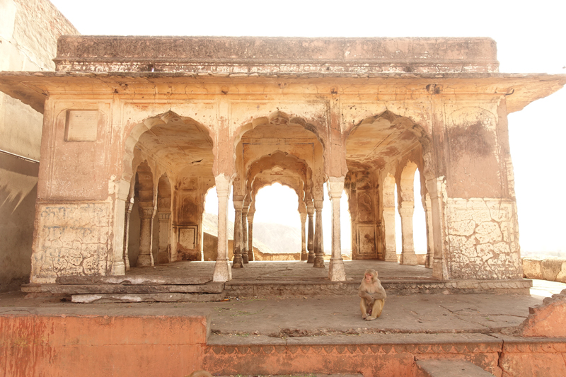 Mon voyage à Jaipur en Inde Temples de Galta Temples des Singes