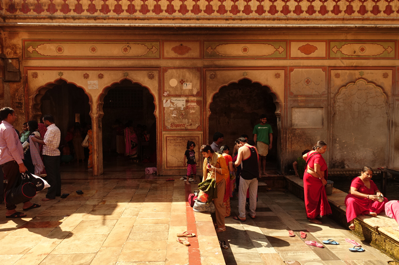 Mon voyage à Jaipur en Inde Temples de Galta Temples des Singes