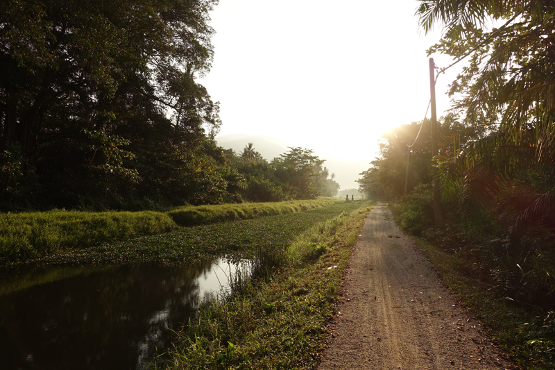 Mon voyage dans la campagne sur l'île de Penang en Malaisie