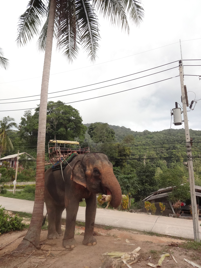 Mon voyage à Koh Phangan en Thaïlande