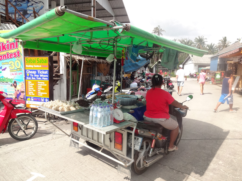 Mon voyage à Thong Sala en Thaïlande