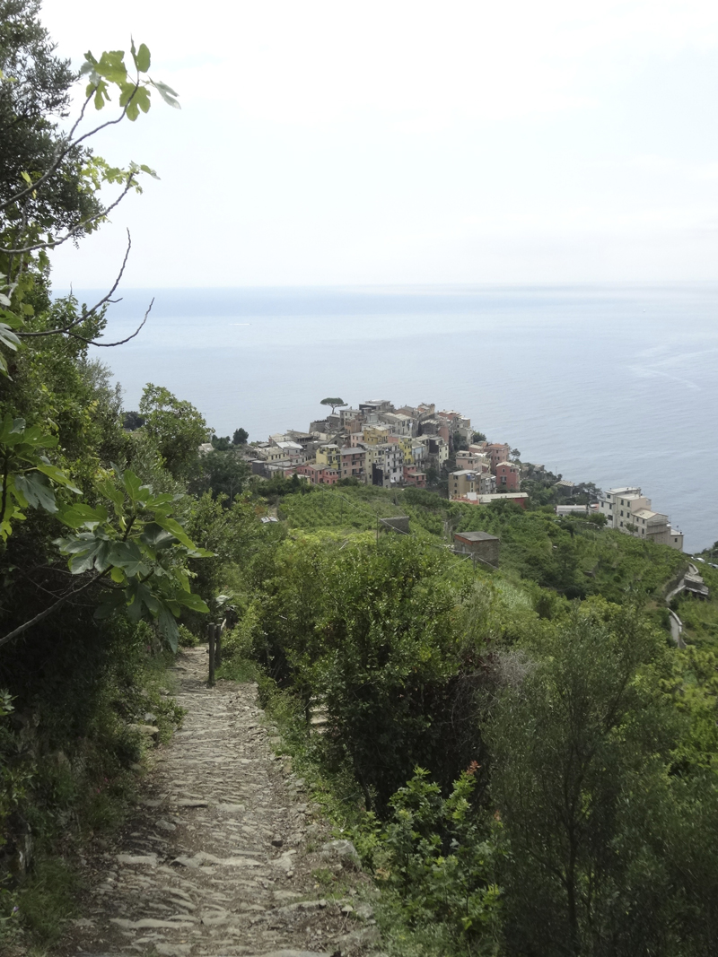 Mon voyage en Italie - Les 5 Terres - Corniglia